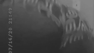 Ass Twerking 
