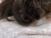 Chubby amatuer latina teen gets hair pulled and fucked with a plug. 8/16