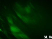 Srilankan lady sucks her boss cock and swallow the hot cum 16/16