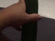 Fucking my tiny pussy with a huge cucumber and squirting everywhere while wearing ripped pantyhose