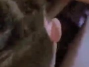 Утро каждого мужчины должно начинаться именно так!