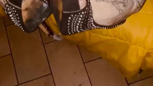 DA GUARDARE MIA MOGLIE CHE SI SCOPA ..... come una pazza.... chi vuole scoparmi