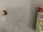 La gigantessa Velvet e le formiche 10/16