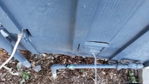 FTM Spraying Pee Against My House