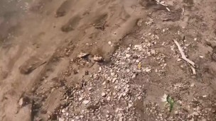 Fit Cutie Showing Off and Cumming by the River