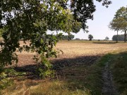 Titten raus über die Schranke gehängt und 150 mal 