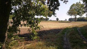Titten raus über die Schranke gehängt und 150 mal 