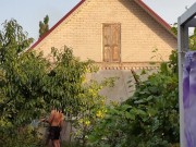 Apples ripen in the garden. 10/16