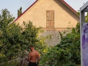 Apples ripen in the garden. 12/16