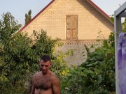 Apples ripen in the garden. 14/16