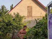 Apples ripen in the garden. 5/16