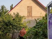 Apples ripen in the garden. 7/16
