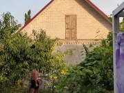 Apples ripen in the garden. 9/16