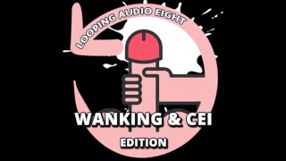 Looping Audio Eight WANKING and CEI Edition - Free Sex Video - RedTube