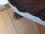 Frangelica up skirt huge natural tits No Sex perfect bbw fun blonde PlanetFunCamp 12/16