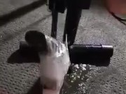 Trying out the fuck machine.