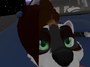 Furry Sex on the Car Bonnet 11/16