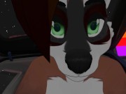 Furry Sex on the Car Bonnet 3/16