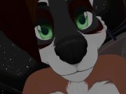 Furry Sex on the Car Bonnet 6/16