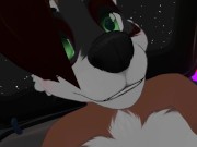 Furry Sex on the Car Bonnet 8/16