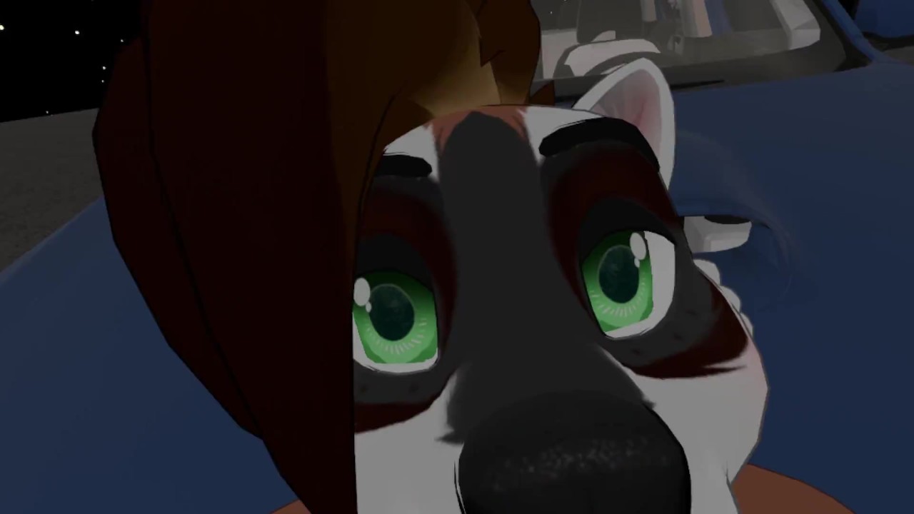 Furry Sex on the Car Bonnet - RedTube