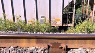CUTE TEEN WITH PINK HAIR PEE'S ON TRAIN TRACKS!!! // IsabellaFern //