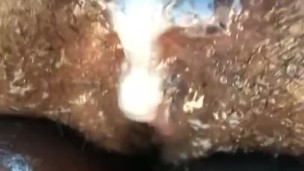 ChocolateLae pushes a HotLoad of cum out of her big ass