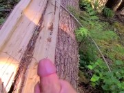 Stopped to cum in the woods