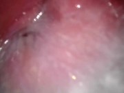 he came inside me! get me pregnant! 10/16