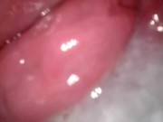 he came inside me! get me pregnant! 11/16