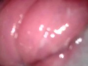 he came inside me! get me pregnant! 15/16