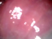 he came inside me! get me pregnant! 6/16