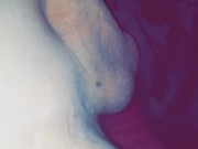 Veiny dick