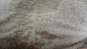 Underestimated how bad I had to go - trans piss