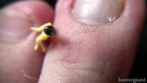 Summer Fun - PREVIEW