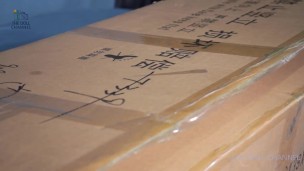 150 cm SE Doll Elf Sex Doll Review Unboxing
