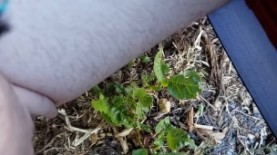 FTM Squatting Pee Outside On Plants