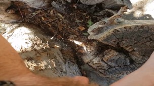 FTM Pee In Tree