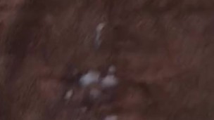 Part 2 Feb 16 2020