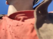 Processing site. 16/16