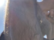 We need to take a shuttle and friends.