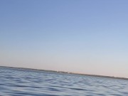 It was a great picnic, we are going home. 1/16