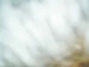 Srilankan actress amazing hot blowjob. 4/16