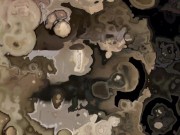 cheating slut wife wants a black man to cum on her face 8/16