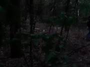 Сняла на камеру страстный секс лесбиянок в лесу 1/16