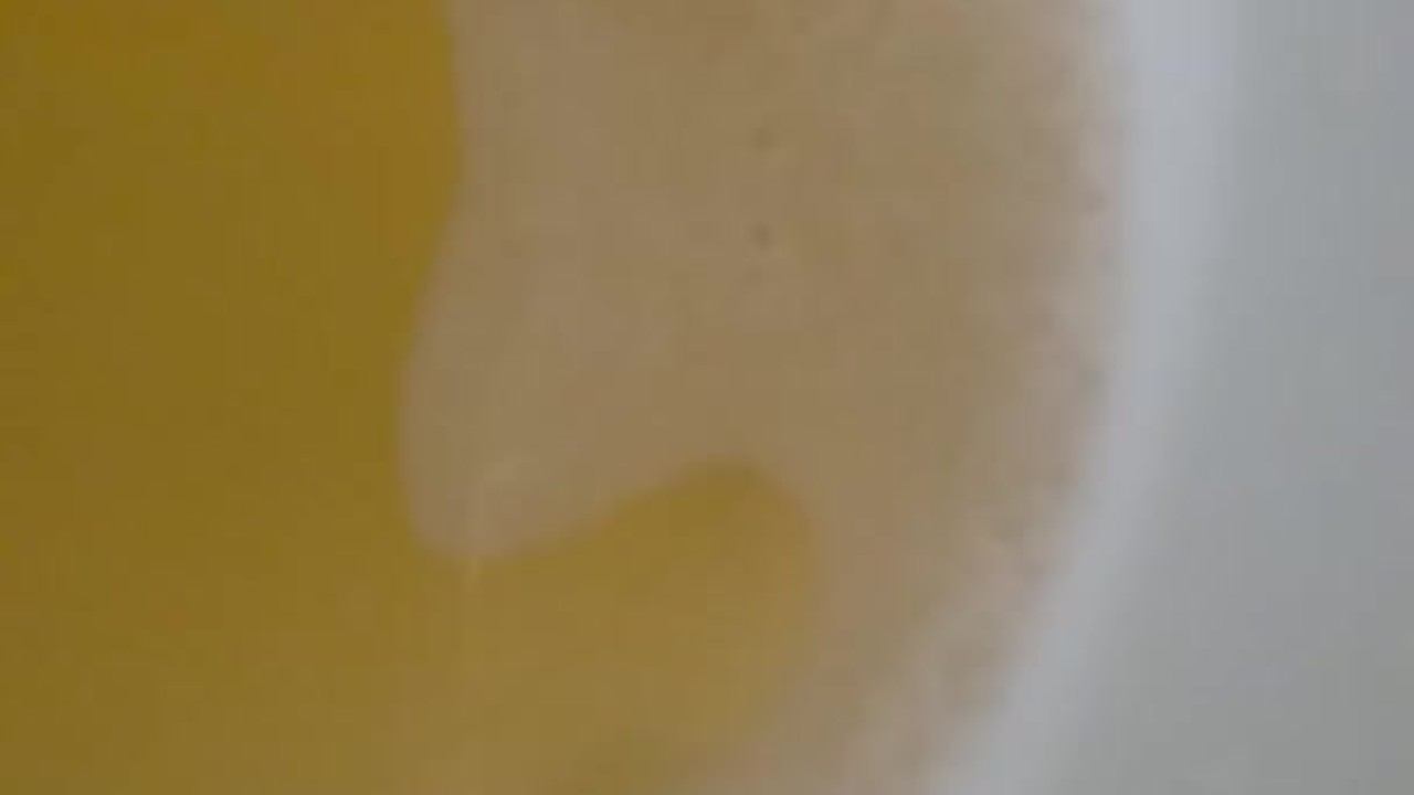 Urine Fetish Princess Potty Training Boy Urinal Toy Aim Play!: Girl Stands to Pee Foamy Yellow - RedTube