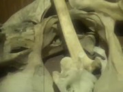 Basement - Screenshot 10 of 16 - Horror
