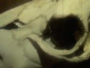Basement - Screenshot 13 of 16 - Horror