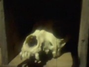 Basement - Screenshot 6 of 16 - Horror Porn