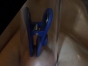 Tortured tits